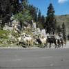 Motorcycle Road d132--col-de- photo