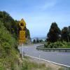 Motorcycle Road coromandel-circuit-nz_ttc-3-- photo